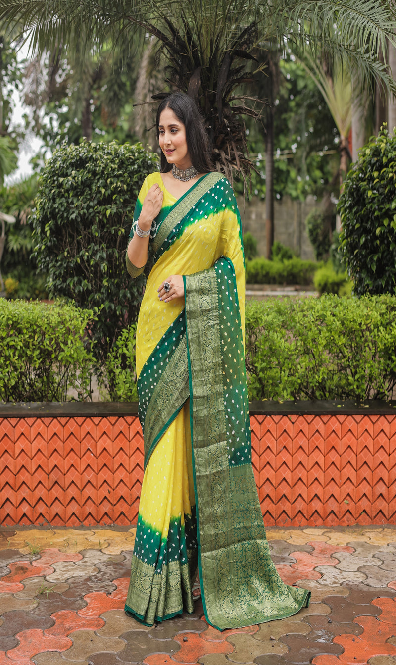 Yellow Green Comfortable Bandhej silk drapes with Kanchipuram jari border