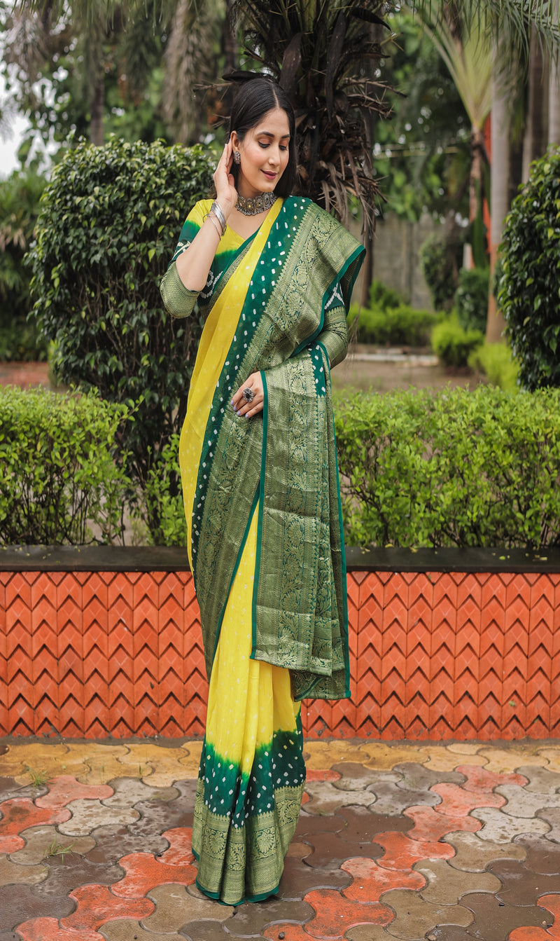 Yellow Green Comfortable Bandhej silk drapes with Kanchipuram jari border