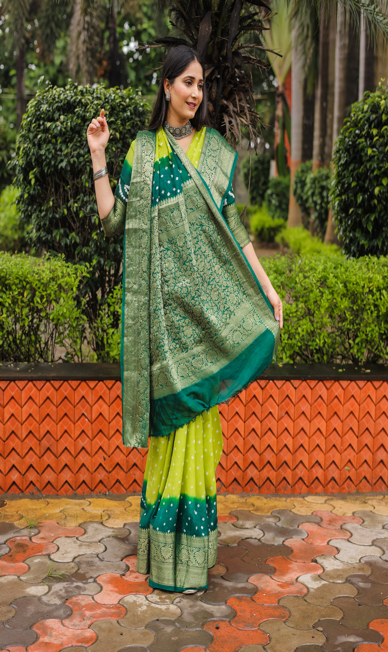 Parrot Green Comfortable Bandhej silk drapes with Kanchipuram jari border